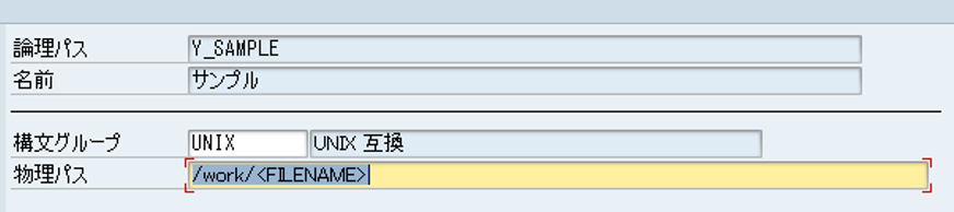 論理ファイル,SAP FILE