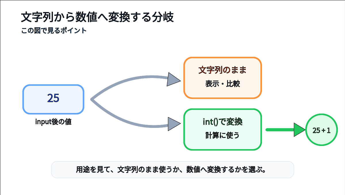 inputで受け取った文字列をそのまま使う道とintで数値へ変換して計算する道を分けて示す説明図
